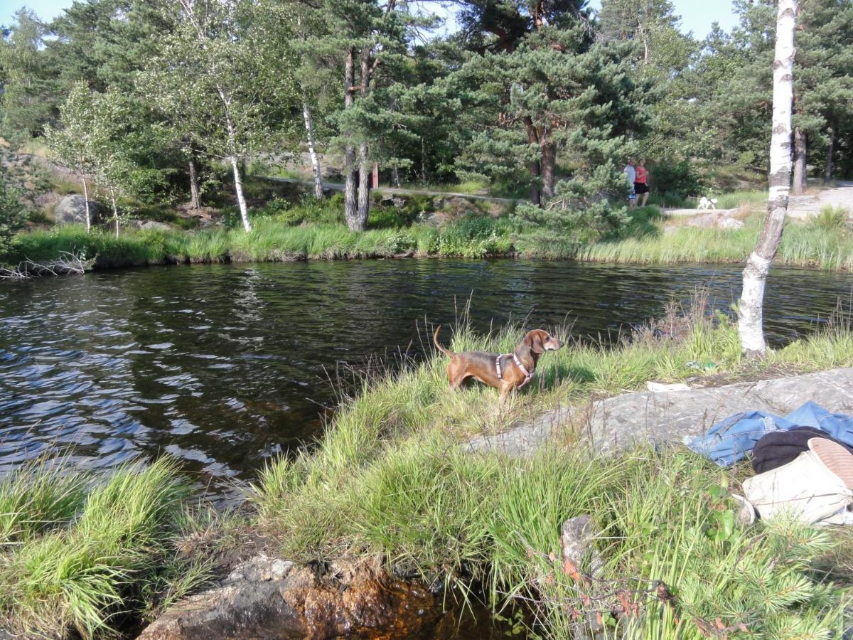 Villa Baneheia Kristiansand Exteriör bild